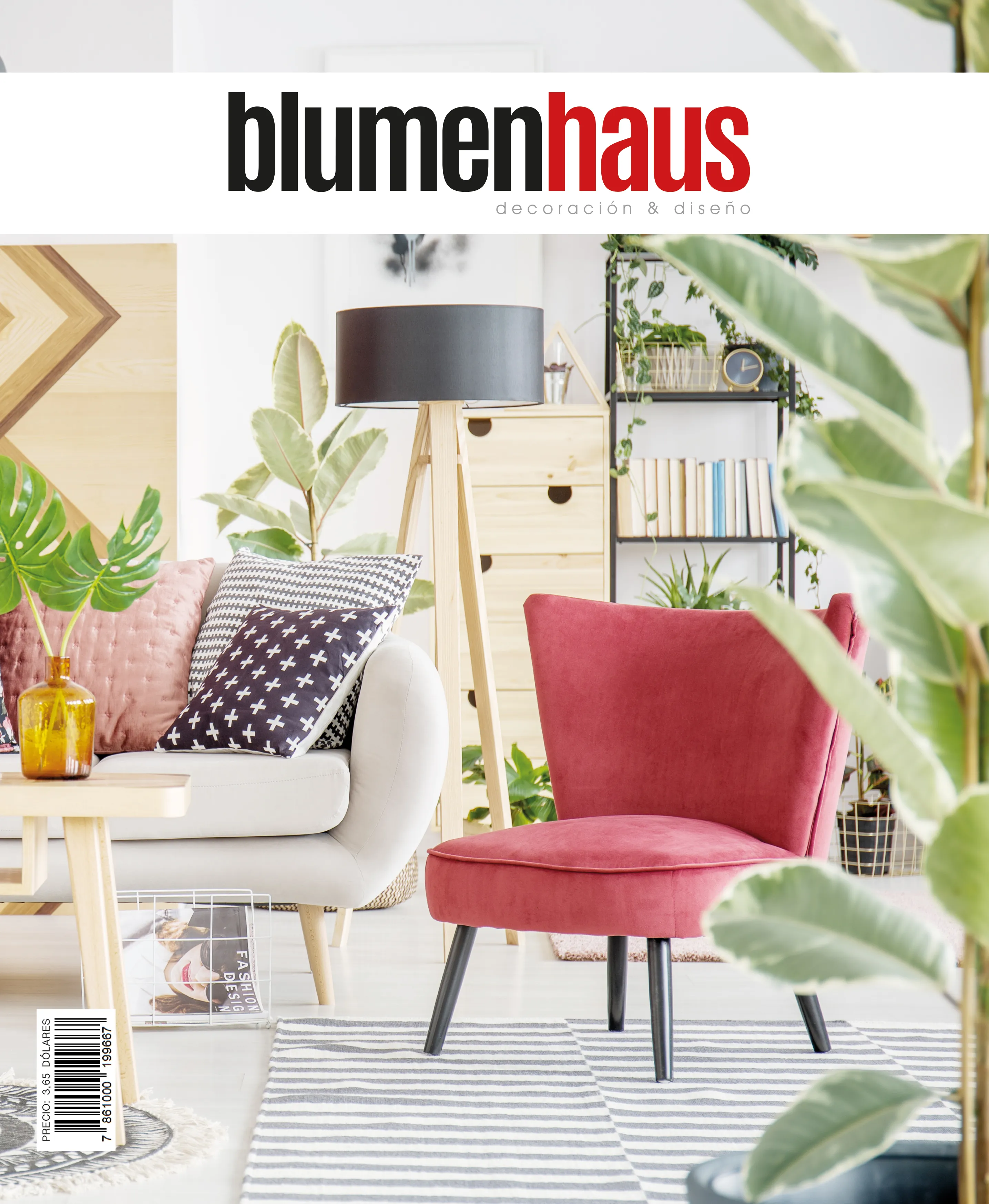 revista